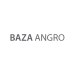 BAZA ANGRO Logo
