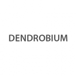 DENDROBIUM Logo