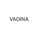 VADINA Logo