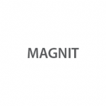 MAGNIT Logo