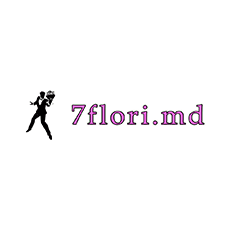 7 FLORI.MD