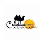 CARAVAN Logo