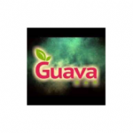 GUAVA BAR Logo