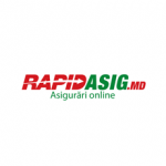 RAPIDASIG Logo