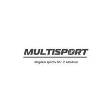 MULTISPORT / POWER TEAM Logo