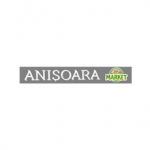 MARKET ANISOARA Logo
