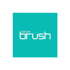 SALON BRUSH Logo