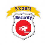 EXPERTSECURITY Logo