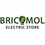BRICOMOL PROFESIONAL Logo