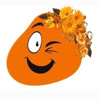 www.totaloutlet.md Logo