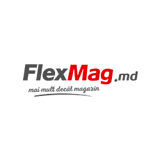 FLEXMAG Logo